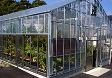 薬用植物園本園の温室