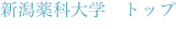 shapeimage_2_link_0